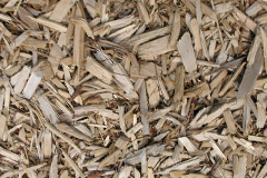 biomass boilers Padanaram